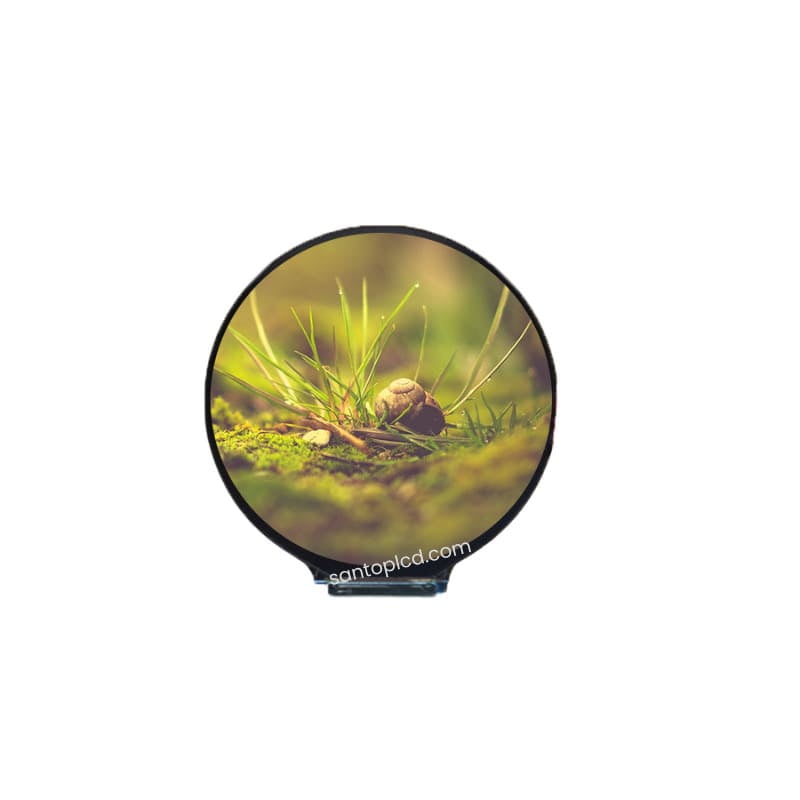 1.2 inch Round TFT LCD Display